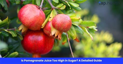 Is Pomegranate Juice Too High in Sugar? A Detailed Guide to Its Health ...