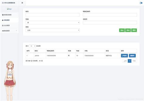 DataTable 的图像结果