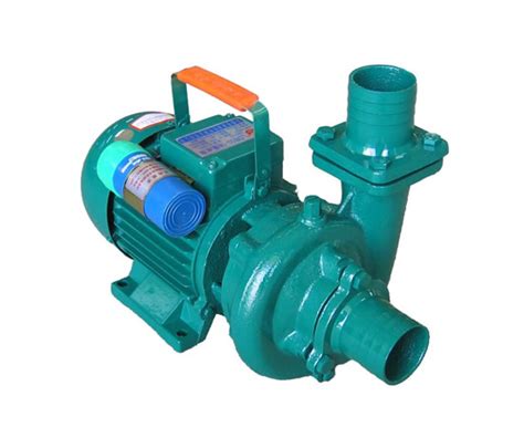 QDX全自动小型不锈钢潜水泵-上海鄂泉泵业有限公司