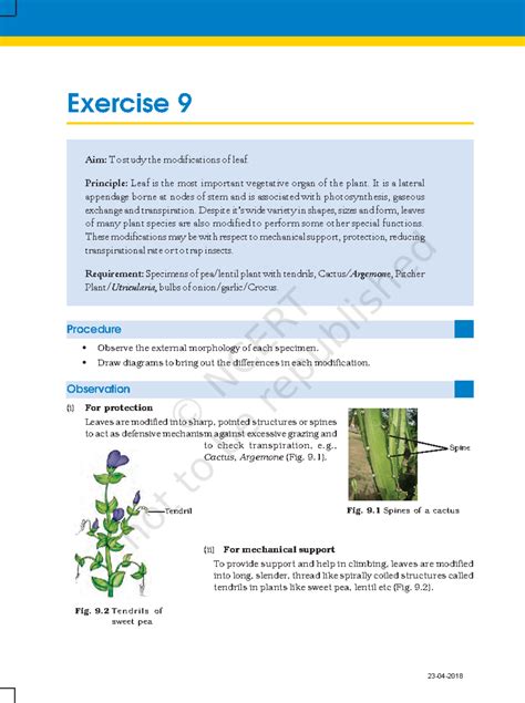 EX 9 Morphology class 11 - 46 Aim: To study the modifications of leaf ...