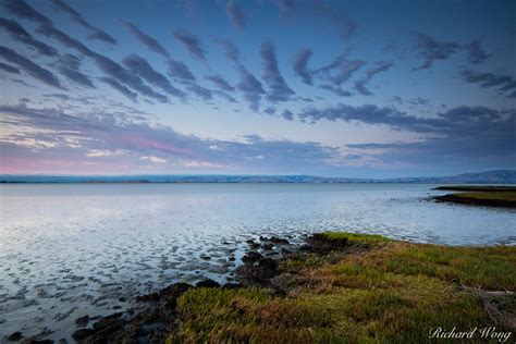 Baylands Nature Preserve Photo | Richard Wong Photography