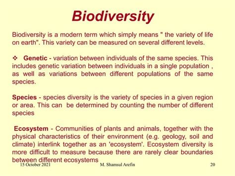 Image result for Sustanibale Development Project Class 10