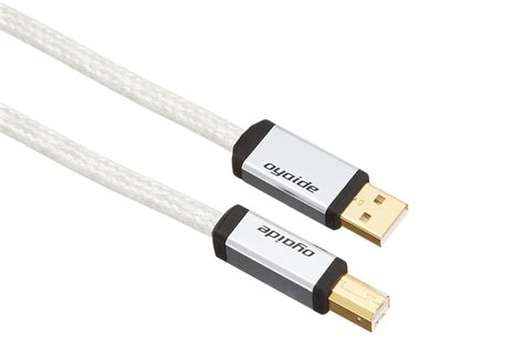Buy Oyaide Continental 5S V2 USB A to B Digital — The Audio Co.