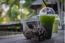 il t 232 verde contro fondo delle pigne naturali secche immagine stock il t 232 verde contro fondo delle pigne naturali secche immagine stock