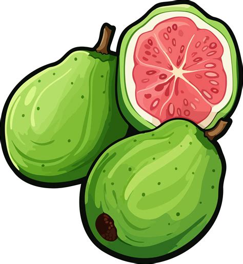 Image result for Guava Fruit Machine Learning Python Project