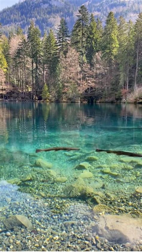 Lake 的图像结果