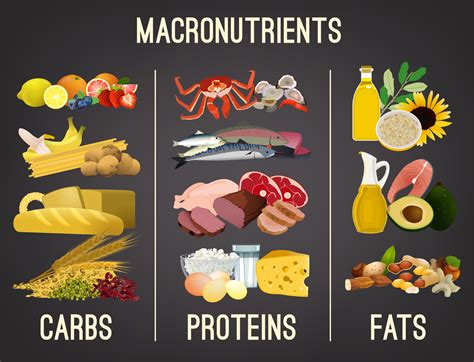 What Food Has Carbs Fat And Protein at Paul Pineda blog