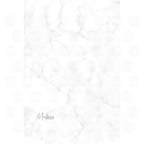 White Marble - Printed Food Backdrops – Madras Prop Store