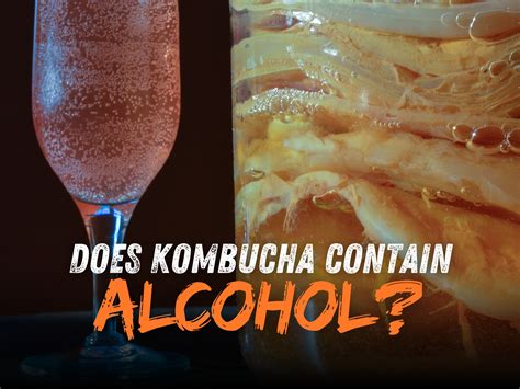 Does Kombucha Contain Alcohol? How to Make Alcoholic Kombucha