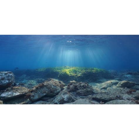 Awert Ocean Floor Fish Tank Background Underwater Stone Aquarium ...