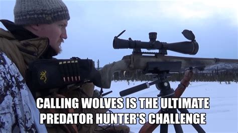 Image result for Wolves Calling