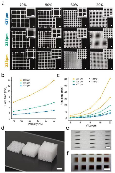 Efficient Fabrication of Polycaprolactone Scaffolds for Printing Hybrid ...
