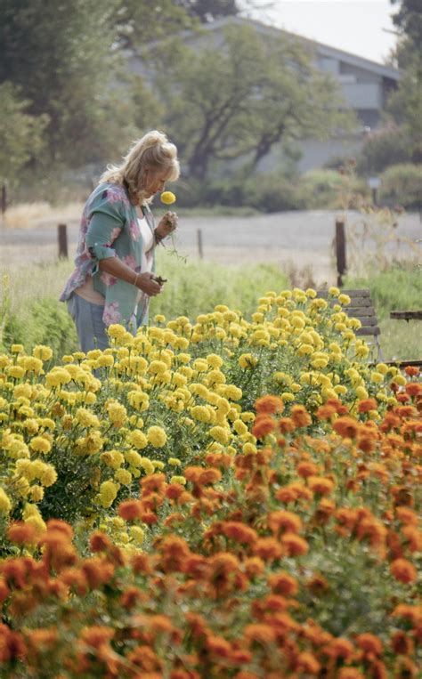 Pick Your Own Bouquet - Park Winters