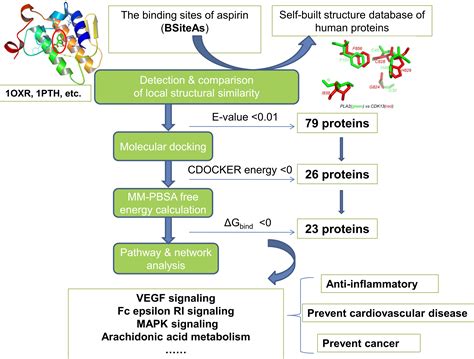 Aspirin Mechanism Of Action