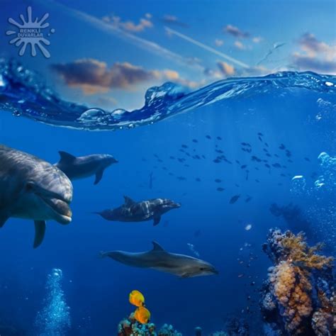 Deniz Akvaryum Posterleri Deniz-182 Fiyatı ve Modeli| 3D POSTER
