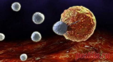 в каком органе нужно регистрировать коллективный договор краевого учреждения здравоохранения