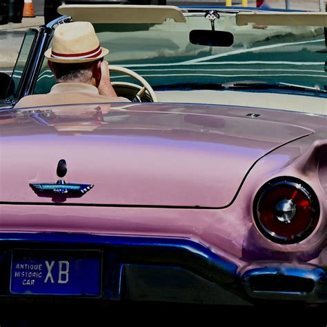 DSC_2114 | Classic Thunder Bird | Maxine Mayer | Flickr