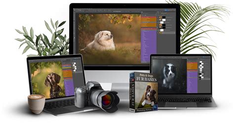 Photoshop Action Collection for Pets | Fur Babies Photoshop Action ...
