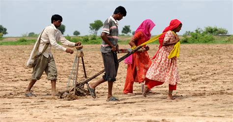 Eleven states have changed land ceiling laws meant to benefit poor ...