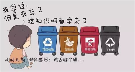 【免费印字】40L乡村街道垃圾分类厨余可回收脚踏带盖双桶垃圾桶-阿里巴巴