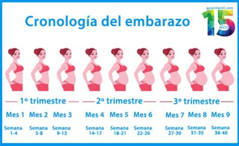 Miren chicas!! Semanas vs Meses de embarazo | BabyCenter