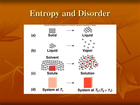 Entropy 的图像结果