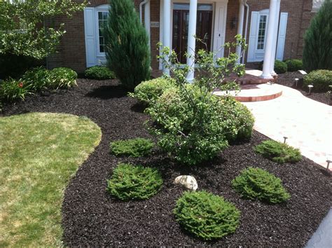 Black Mulch Landscaping Ideas at Samantha Straus blog