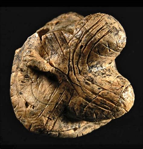 The Venus of Hohle Fels