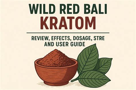 Wild Red Bali Kratom Review Effects Dosage Strength and User Guide