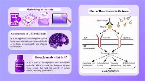 The Adverse Effects and Use of Bevacizumab in Patients with ...