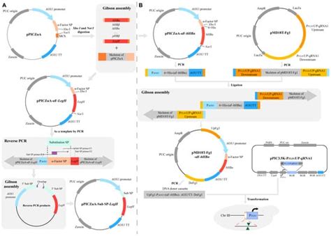 Efficient Secretory Expression for Mammalian Hemoglobins in Pichia pastoris