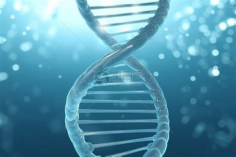 基因图片 的图像结果