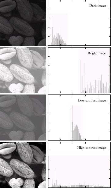 Histogram Equalization in Digital Image Processing 的图像结果