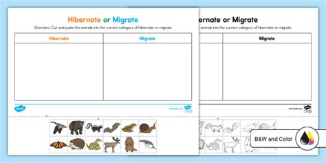 Hibernate or Migrate Cut and Stick Worksheet for K-2nd Grade