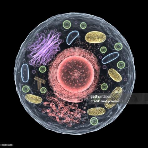 Discovered By Living Cell