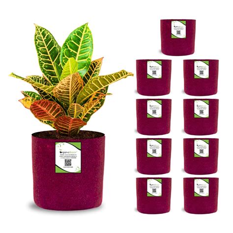 ORGANIC BAZAR 6x6 Geo Grow Bag for Small Size Plants, Premium Geo ...