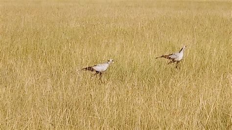 Lion Rider Tours and Safaris (Nairobi) - 2022 What to Know Before You ...