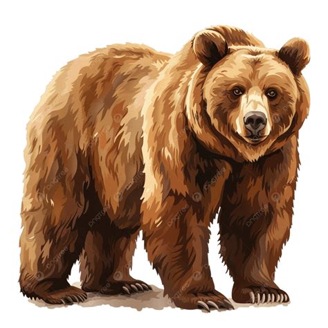 Clip Art Grizzly Bear Grizzly Bear Clipart Vector Images (over 800)