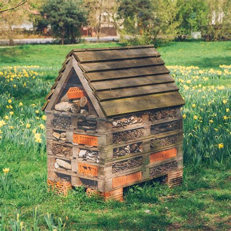 How to attract ladybirds to your garden: a natural predator | Ideal Home