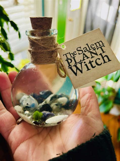 Lunar Magic ⋆ Salem Plant Witch