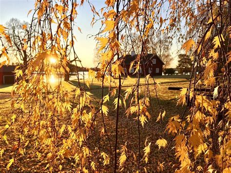 DALARNA ÄLVCAMPING (Borlange) - Campground Reviews & Photos - Tripadvisor