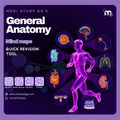 Mind maps (Medical) – Medi Study Go