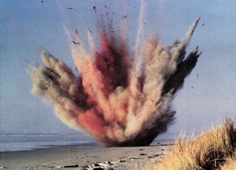 Image result for Exploding Whale Meme