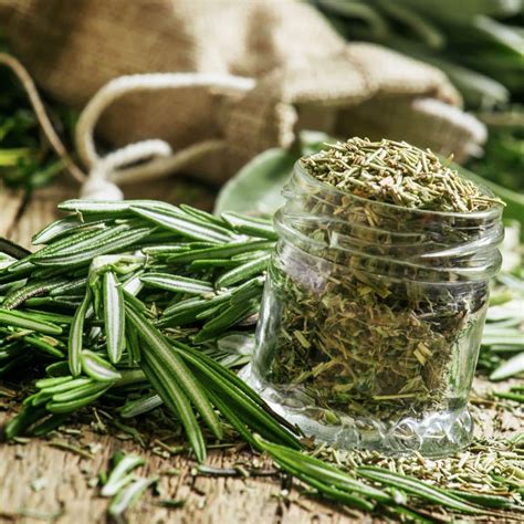 Rosemary: Spiritual Meaning - Awakening State