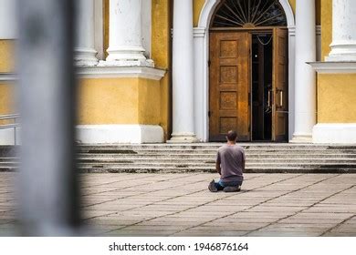 Plead 的图像结果