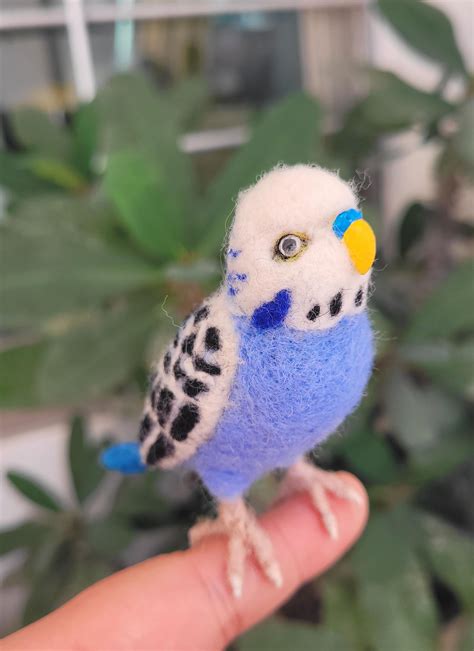 Needle felted budgie I just finished, thought you might like it, it's slightly smaller than a ...