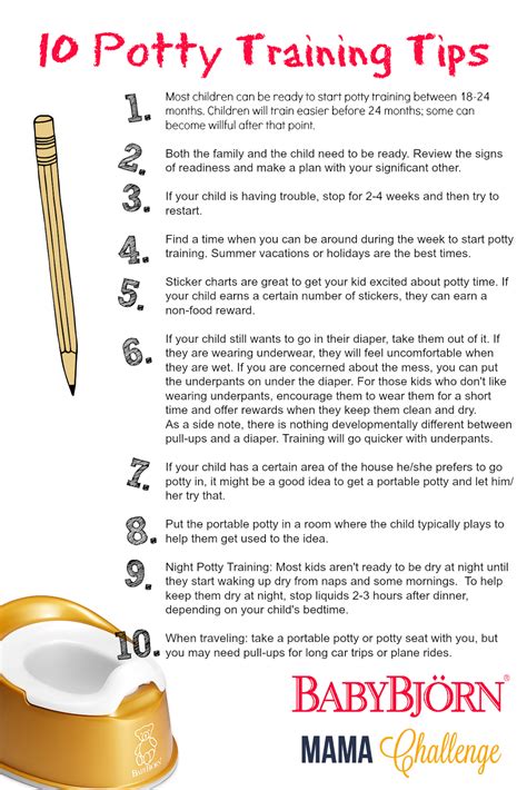 Best Tips for Potty Training: Quick & Effective Strategies - cnnaol