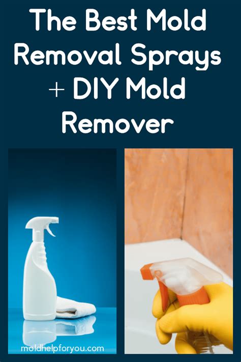 Image result for Alien Power Mold Spray Reviews