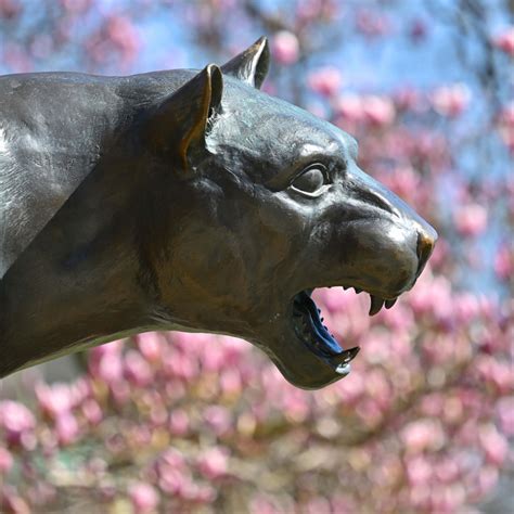 2024-25 academic calendar holds a few surprises | University Times ...