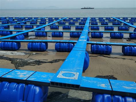 环保塑胶渔排-鹤山市泽沣养殖设备有限公司